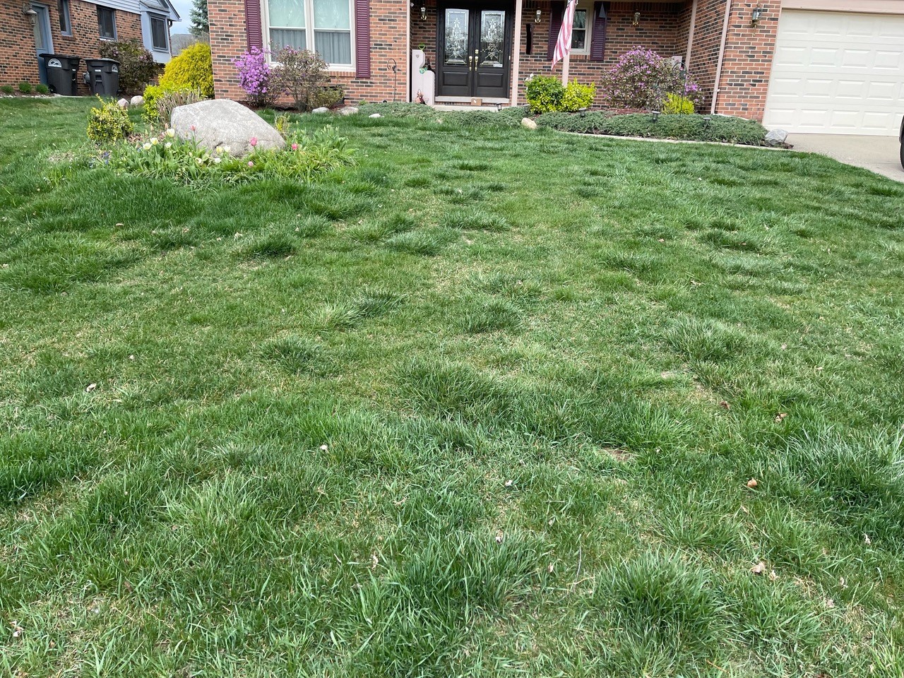 Uneven lawn.